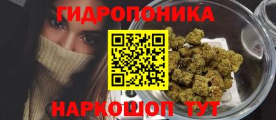 прущие грибы Лесосибирск