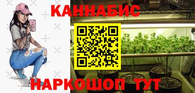 прущие грибы Лесосибирск