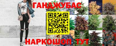 МДПВ Ливны