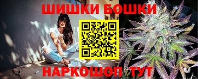 МДПВ Ливны