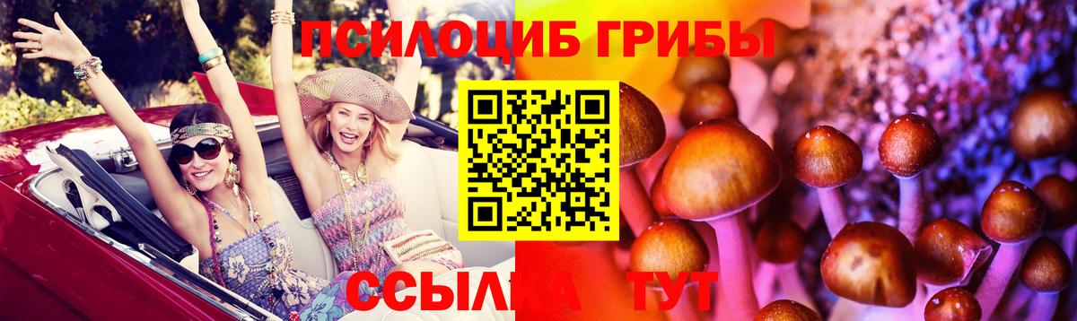 Псилоцибиновые грибы GOLDEN TEACHER Элиста