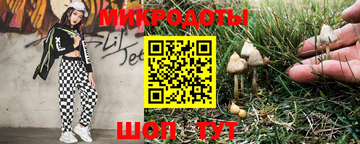 Элиста  Псилоцибиновые грибы мухоморы  Вход с VPN 